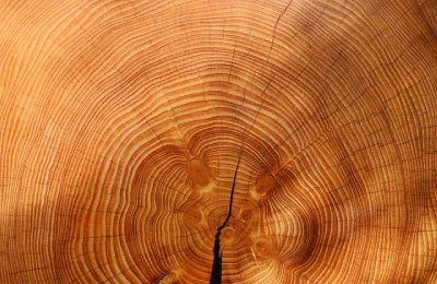 Barhocker Magazin Material Holz