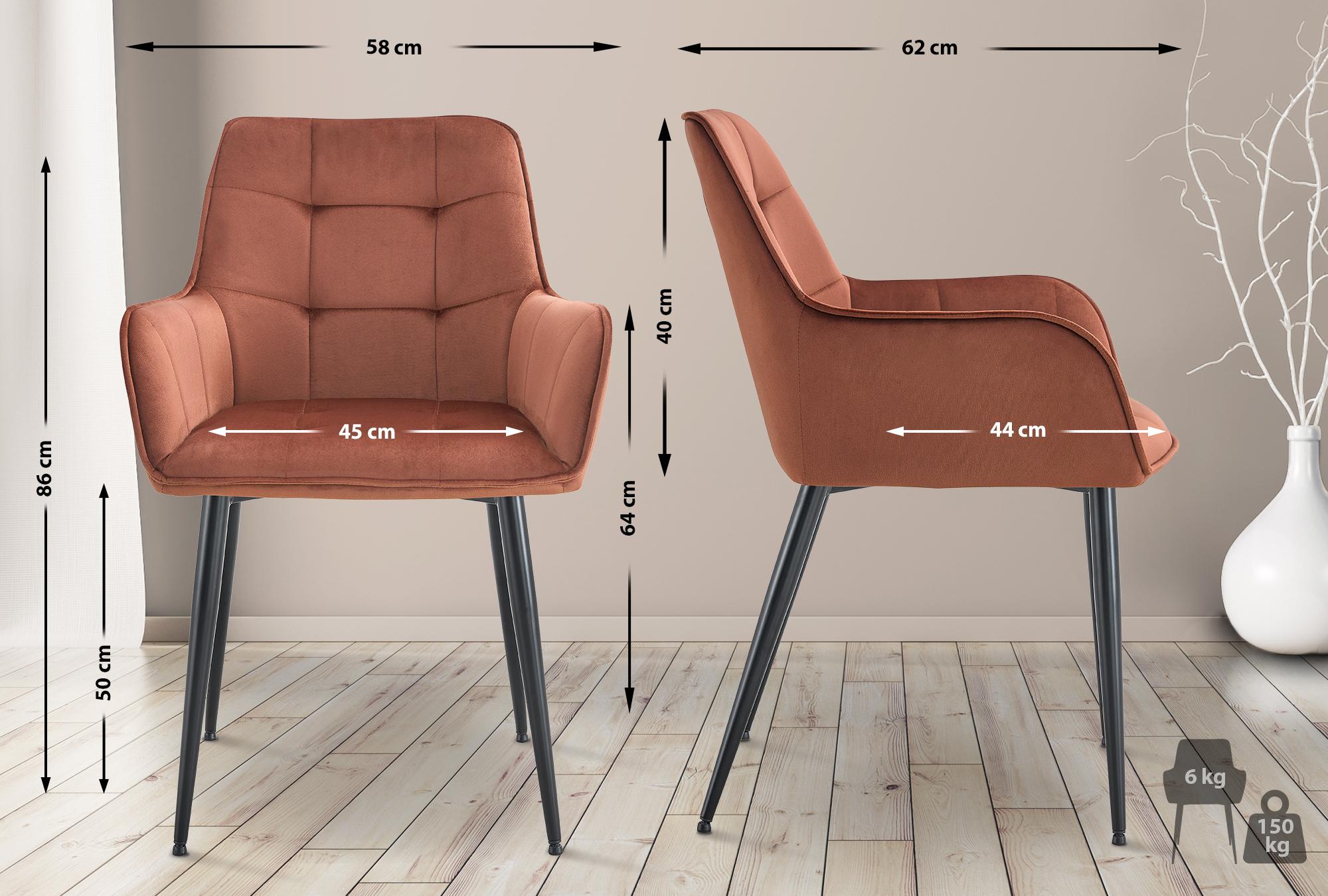2er Set Esszimmerstuhl Ferndale Samt